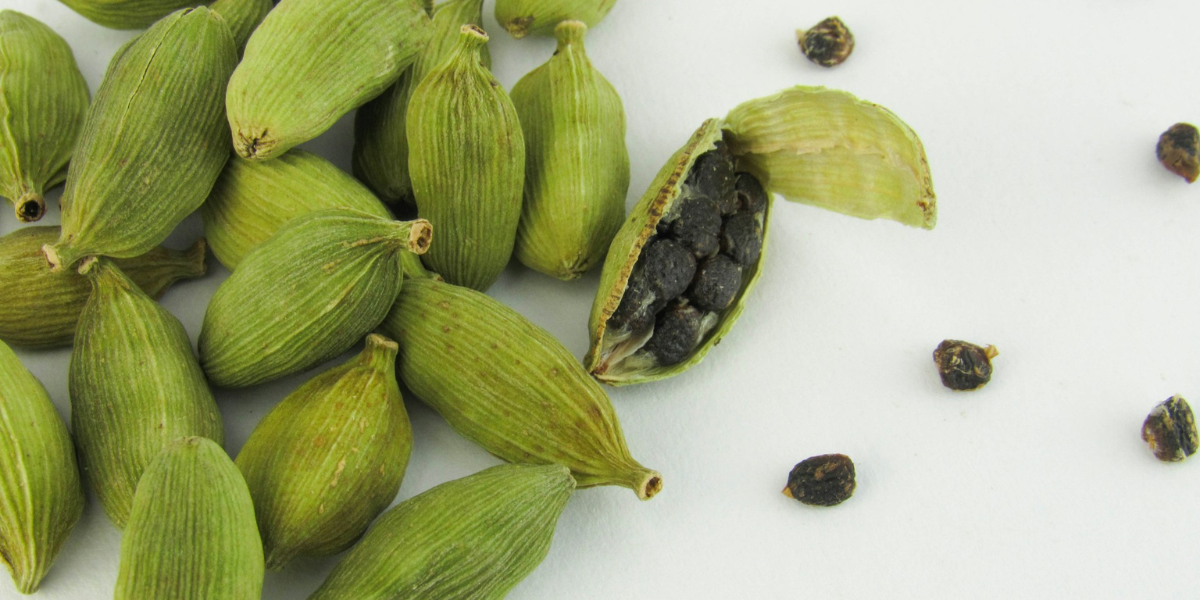 Cardamom: The Queen of Spices and Its Timeless Value